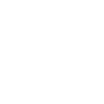 CDI Logo white